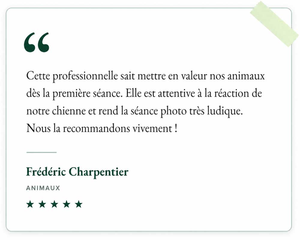 photographe-animaux-virgin'art-st-hilaire-des-loges-en-Vendée.01