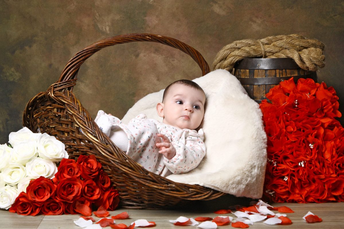 un bebe dans un panier entouré de fleur rouge au studio de Virgin-arts à Saint-Hilaire-des-Loges